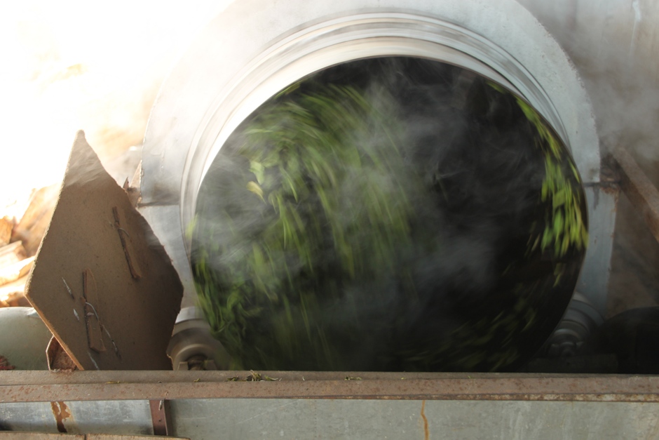 After roasting for the perfect amount of time, the tea is taken out of the cylinder and is ready for rolling.