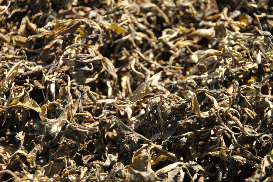 This sun-dried tea is ready to be consumed!